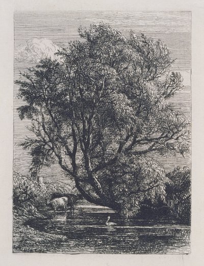 Il salice da Samuel Palmer